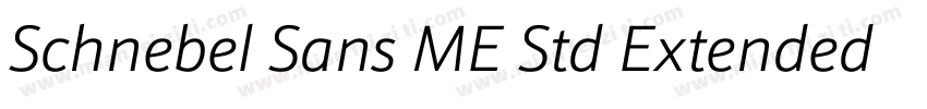 Schnebel Sans ME Std Extended Light字体转换
